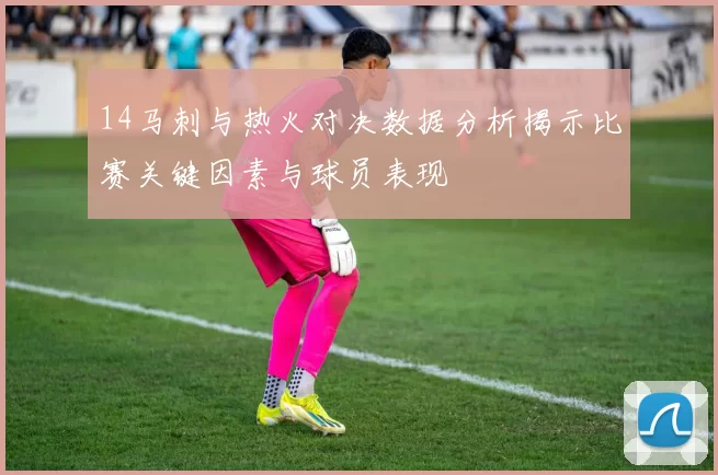 14马刺与热火对决数据分析揭示比赛关键因素与球员表现