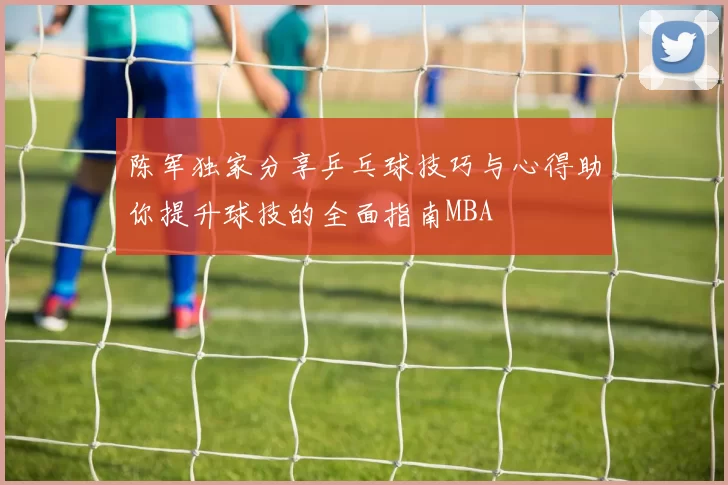 陈军独家分享乒乓球技巧与心得助你提升球技的全面指南MBA