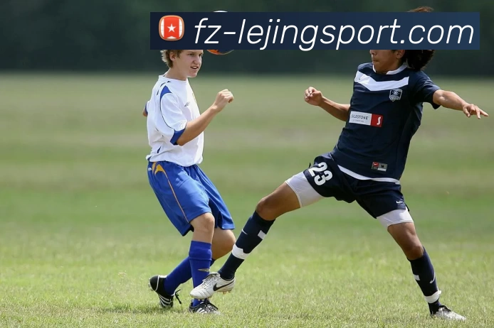 乐竞官网app最新版服务体系